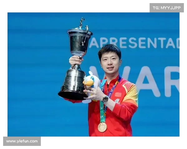 银牌荣耀绽放 见证非凡成就与无畏挑战的辉煌时刻