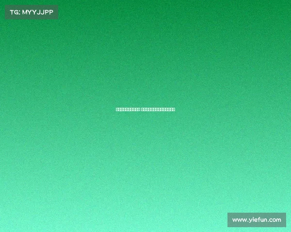 若雅克松若最终未离队 切尔西愿意继续让其留在一线队