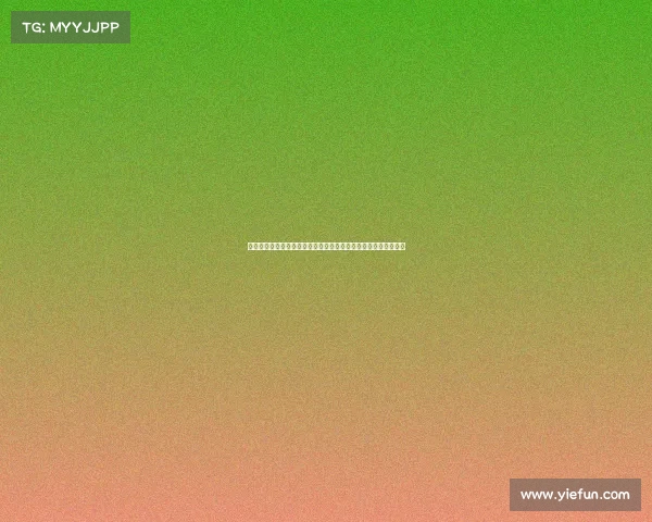 规则考试的重要性与实施细则：优化考试机制提升公平性与透明度