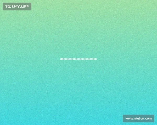 雷恩城市发展与文化特色研究：从历史遗产到现代化转型的探索